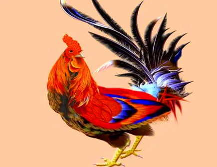 属鸡什么情况下不想再被爱 属鸡什么情况下不想再被爱