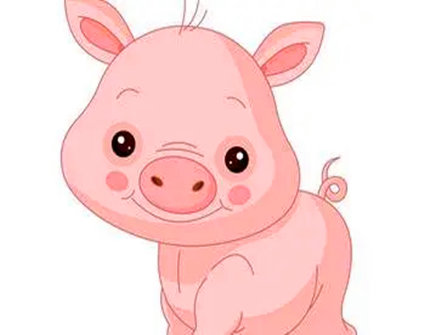 属猪在哪些方面不自觉感到自卑