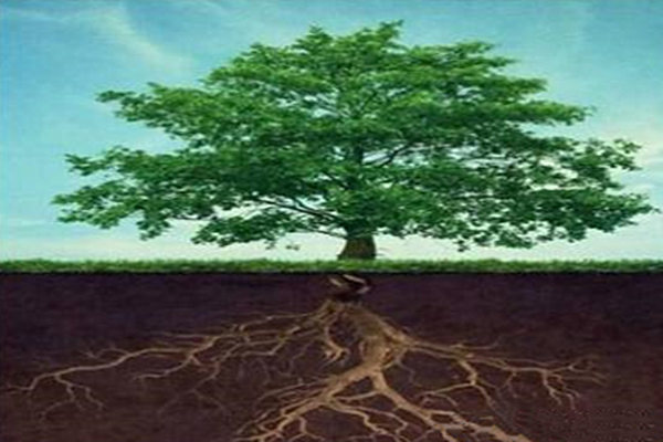 八字中的明象与暗象 八字中的明象与暗象