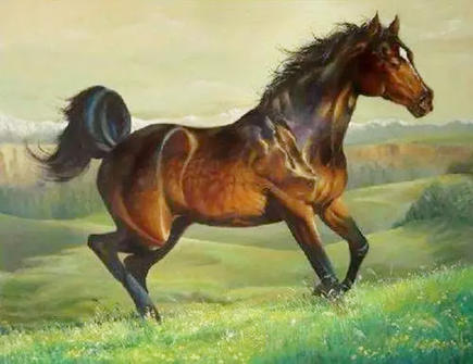 属马人心中比较浪漫的事情 属马人心中比较浪漫的事情