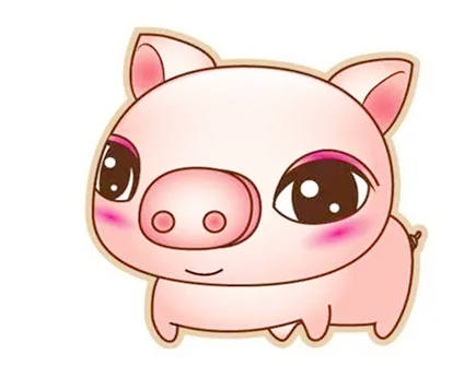 怎么和属猪人和睦相处