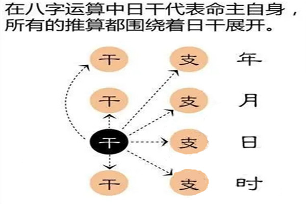 八字命局的组合结构详解 八字命局的组合结构详解