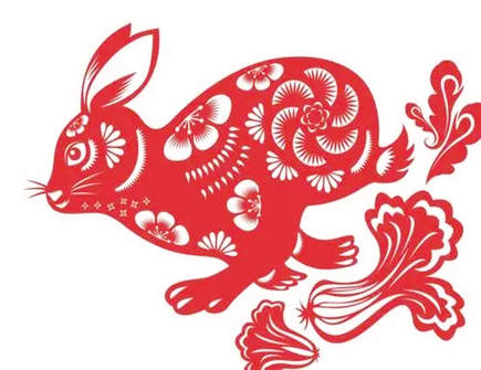 属兔谈恋爱需要忌讳的事情 属兔谈恋爱需要忌讳的事情