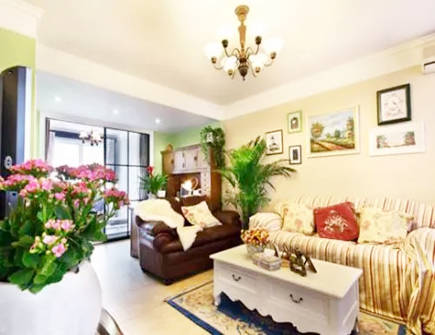 家居摆放植物的风水禁忌 家居摆放植物的风水禁忌