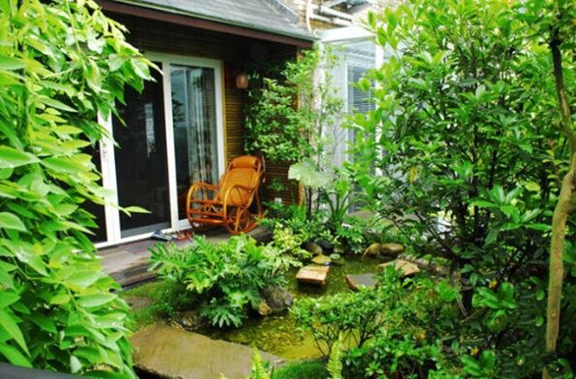 院子里栽树的风水有什么禁忌 院子里栽树的风水有什么禁忌