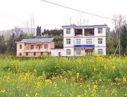 路剪房见伤亡有什么风水寓意