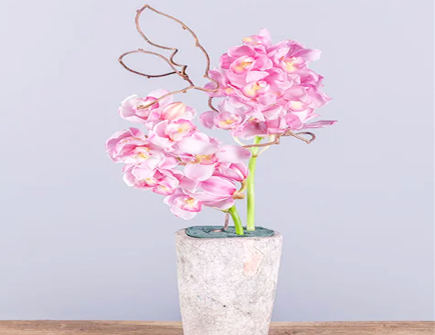 旺桃花运的房屋风水布局