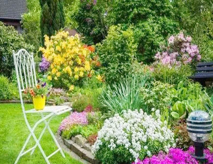 有利于住宅风水的庭院植物