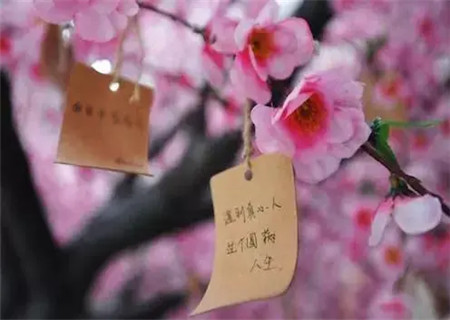 催旺桃花运的方法 催旺桃花运的方法