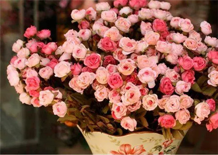 催旺桃花运的方法 催旺桃花运的方法