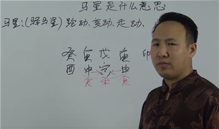 马星是什么意思