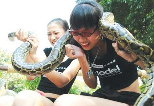 哪些八字的人胆子大 哪些八字的人胆子大