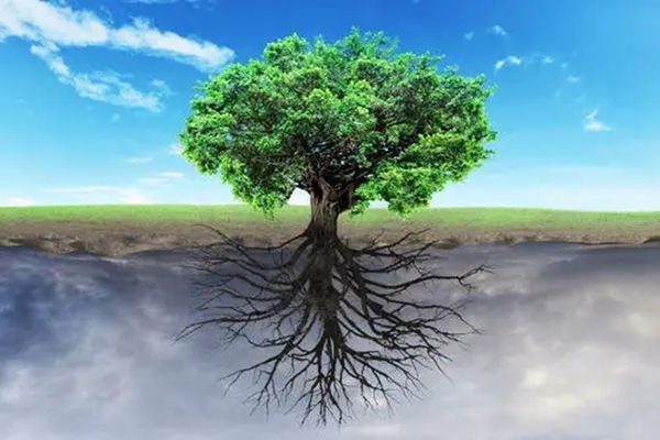 论命局同根的基本方法 论命局同根的基本方法