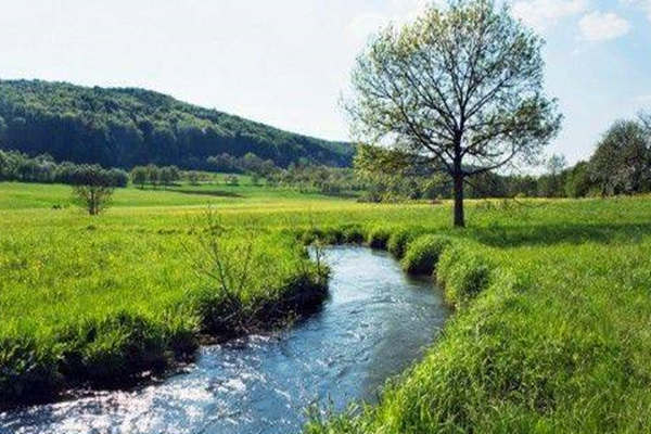 论命局同根的基本方法 论命局同根的基本方法