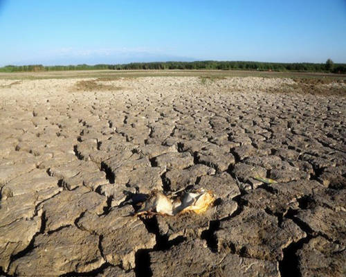 五行缺水的男人命好吗.jpg 五行缺水的男人命好吗.jpg