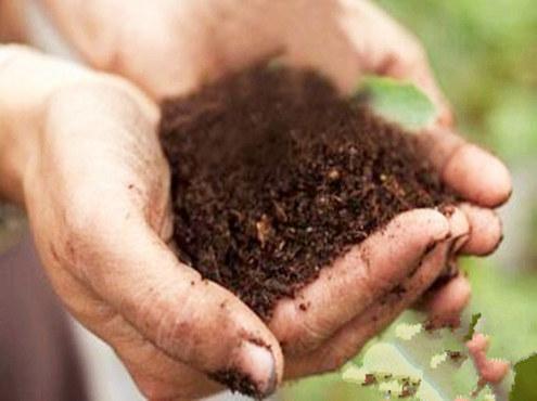 八字五行缺土会喜土吗.jpg 八字五行缺土会喜土吗.jpg