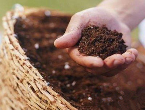 八字五行缺土怎么办.jpg 八字五行缺土怎么办.jpg