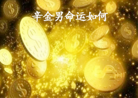 辛金男的命运如何