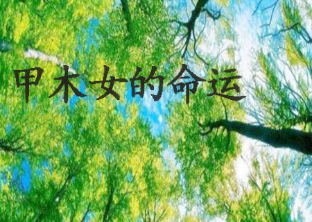 甲木女的命运如何