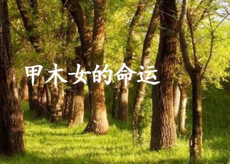 甲木女的命运如何