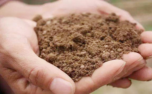 五行属土适合做什么行业.jpg 五行属土适合做什么行业.jpg