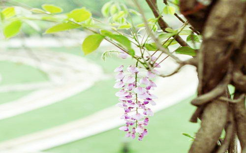 正官格.jpg 正官格.jpg