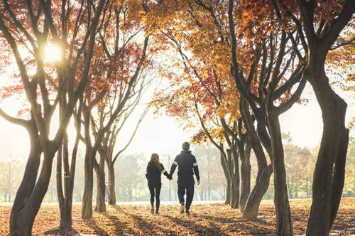 大林木命女人的婚姻好不好