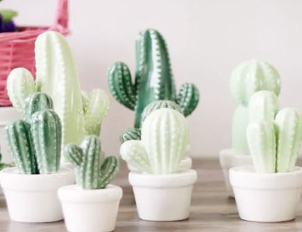 仙人掌适合摆放在哪个位置