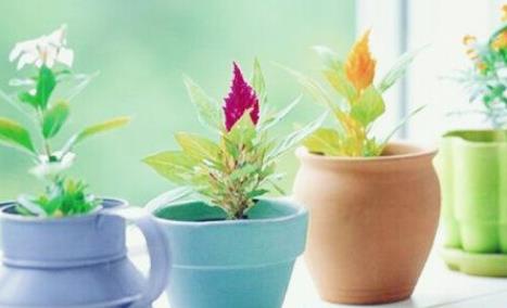 八字忌木是什么意思.jpg 八字忌木是什么意思.jpg