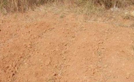 土命的女人命运好不好.jpg 360截图20210709143152439.jpg