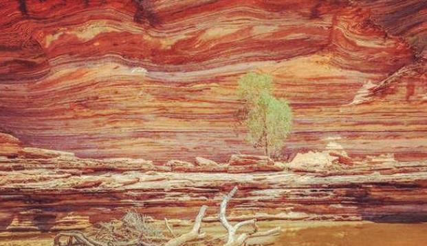 从官格命好不好