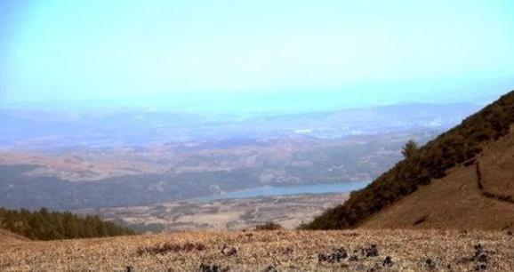 什么是土多金埋.jpg 什么是土多金埋.jpg