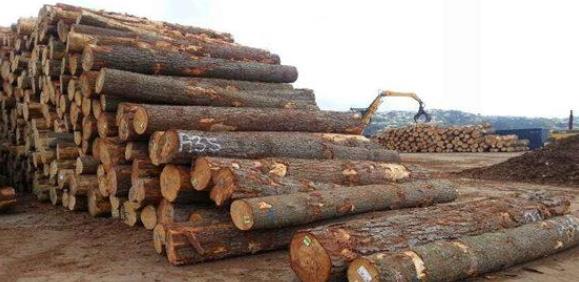 什么是木多火炽.jpg 什么是木多火炽.jpg