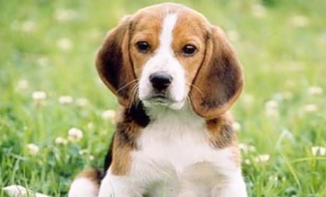 1982年出生的人是什么命