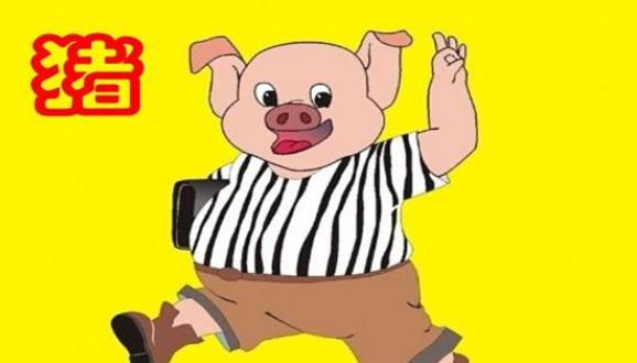 1995年出生的人是什么命.jpg 1995年出生的人是什么命.jpg