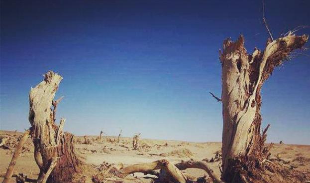 饿木命的贵人.jpg 饿木命的贵人.jpg