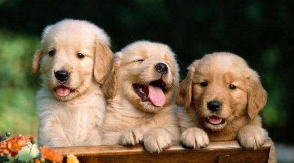 1994年出生的人是什么命