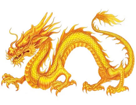 属龙在哪些方面让人感到很暖心 属龙在哪些方面让人感到很暖心