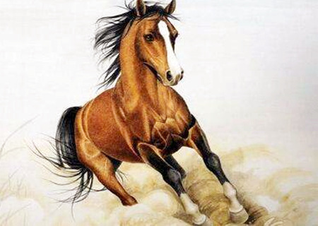 2020年冲太岁如何化解