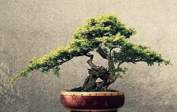 偏枯命.jpg 偏枯命.jpg