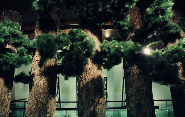 三会木局的定义.jpg 三会木局的定义.jpg