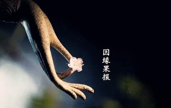 言而无信的八字