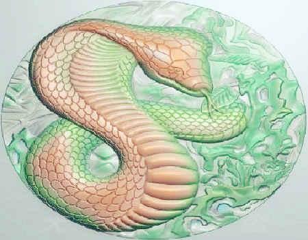 属羊在哪些方面让人感到很暖心