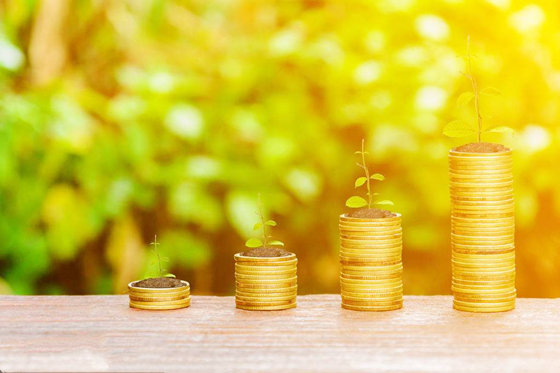 八字看财富等级