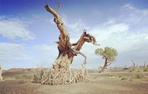 八字年柱看疾病.jpg 八字年柱看疾病.jpg