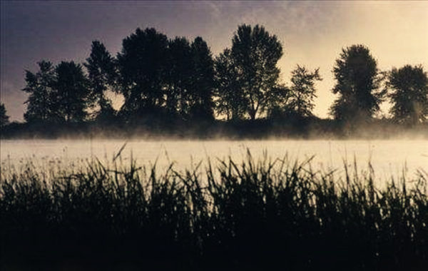 七杀格成格条件