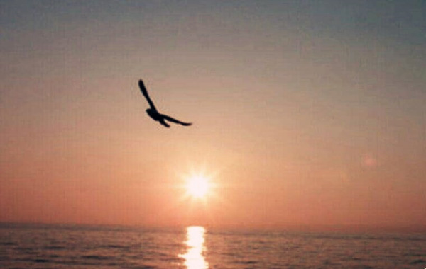 八字看配偶财富.jpg 八字看配偶财富.jpg