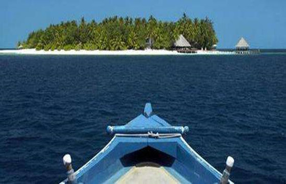 出国定居的八字特征