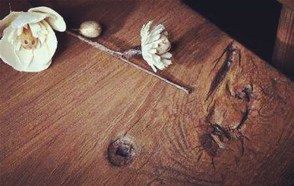 怎么看禄神逢合逢冲