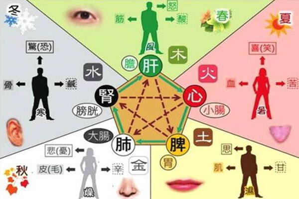 如何从八字五行判断自己的健康 如何从八字五行判断自己的健康